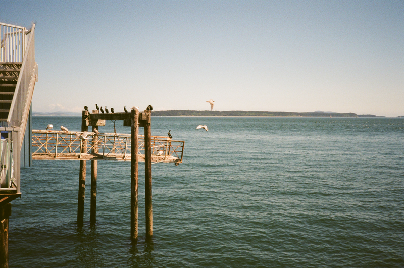 Illustration for article titled Photos from a recent weekend trip to Victoria